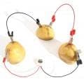 FTVOGUE Potato Battery Science Kit, Bio Energy Science Kit for DIY Teaching Toy and School Science Project