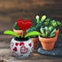 Solar Dance Flower - Solar Powered Dancing Flower for Desk, Window, or Car Decoration Gift, Fun Swinging Solar Flower