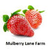 Mulberry Lane Farms 4 Soft White Wheat Berries Pounds Kernels, USDA Certified Organic, Non-GMO Bulk, Product of USA