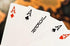 ATCUSA 100% Pure Plastic Playing Cards | HD Poker Deck for Outdoor Camping, Travel, and Card Games (12)