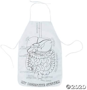 Fun Express Color Your Own Digestive System and Organs Canvas Aprons - 12 Pieces for Kids Learning