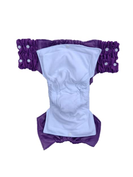 Kijani Baby 2 6 Night Time Washable Cloth Pull Up Diapers for Toddlers and Preschoolers, Ages Years to Years (Purple