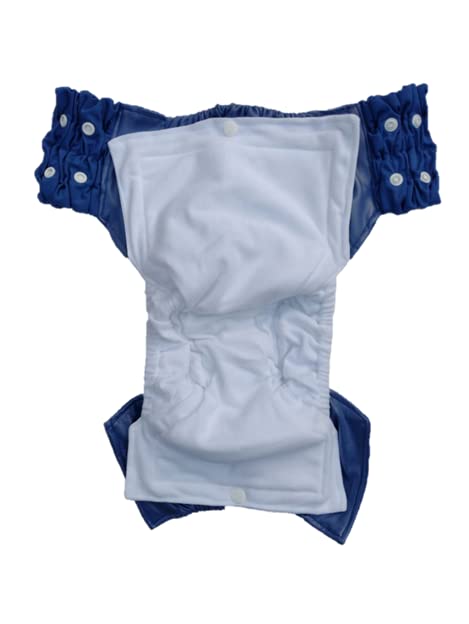 Kijani Baby 2 6 (2-4 Night Time Washable Cloth Pull Up Diapers for Toddlers and Preschoolers, Ages Years to Years