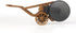 ACADEMY HOBBY MODEL KITS Academy Da Vinci Mechanical Drum