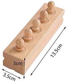 Adena Montessori Mini-Cylinder Block (Set of 4) Educational Tools for Preschool Early Montessori Toys