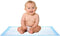 BrightCare Disposable Baby Changing Pad Liner - Economy Pack 50 Count (17 x
