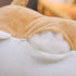 Corgi Dog Plush Pillow, Soft Shiba Inu Stuffed Animal Toys for Bed, Valentine, Kids Birthday, Christmas (Brown, 11.8