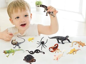 Toymany 12PCS Reptile Animal Figurine Toys Set: Cold Blooded Amphibians, Desert Animal Figures, Gift Party Favor