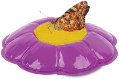 Insect Lore Butterfly Garden Gift Set, 8" Habitat with Live Cup of Caterpillars, Life Science & STEM Education Kit