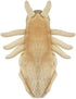 Giant Microbes Louse Plush – Fun Educational Gift for Family, Friends, Doctors, Nurses, Insect Lovers
