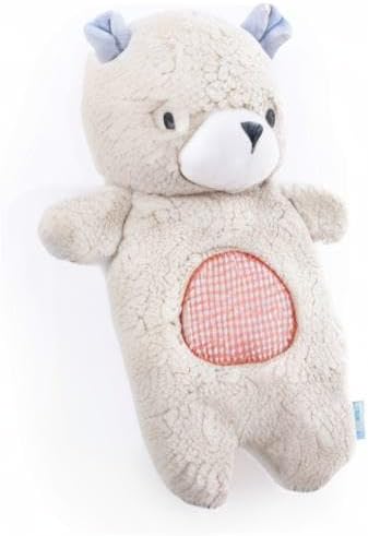 Ingenuity Premium Soft Mini Bean Bag Plush, Nate The Teddy Bear, Ages Newborn and Up