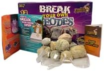 Break Your Own Geodes Kit - 12 Whole Geodes Miner’s Choice