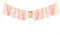 Derzhssg Peach Theme Baby 1st Birthday Banner - High Chair Banner, Sweet Peach