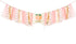 Derzhssg Peach Theme Baby 1st Birthday Banner - High Chair Banner, Sweet Peach