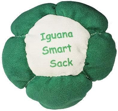 Bluetooth Hacky Sack, App-Enabled, Tracks Your Score