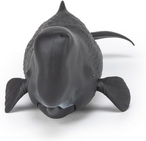 3+ 10.2 3.2 2.9 Papo - Realistic Sperm Whale Figure - Ages - Marine Life Collection - Educational Play Marine Cetaceans