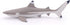 Papo Hand-Painted Figurine Marine Life Blacktip Reef Shark Figure 56034, Collectible for Children from 3 Years Old