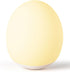 Night Light for Kids,Egg Night Light for Baby Nursery, 7 Colors Changing