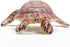 Schleich Wild Life New 2024 Wild Animal Toy, Hawksbill Sea Turtle Ocean Animal Figurine