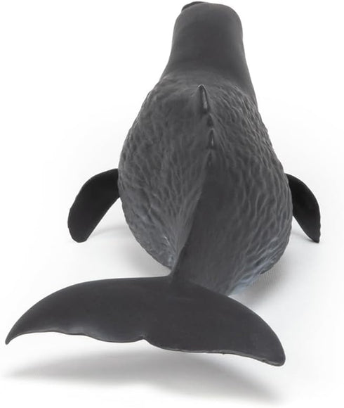 3+ 10.2 3.2 2.9 Papo - Realistic Sperm Whale Figure - Ages - Marine Life Collection - Educational Play Marine Cetaceans
