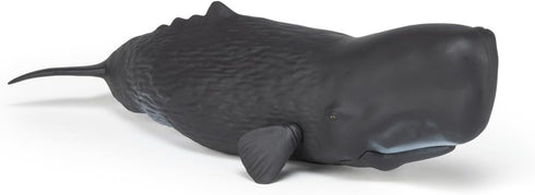 3+ 10.2 3.2 2.9 Papo - Realistic Sperm Whale Figure - Ages - Marine Life Collection - Educational Play Marine Cetaceans