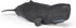 3+ 10.2 3.2 2.9 Papo - Realistic Sperm Whale Figure - Ages - Marine Life Collection - Educational Play Marine Cetaceans