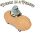 Accoutrements (13038) Archie Mcphee Pigeon in a Peanut Pull Back Toy Car