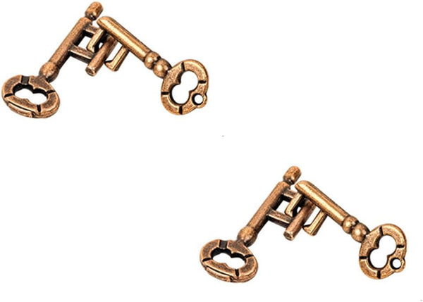 Sujosa 2 Pair Sets of Metal Brain Teaser Puzzle Keys, Assembly & Disentanglement