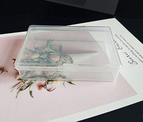 KOOMA Bold (Deluxe Edition) Playing Cards & Clear Protective Case