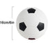 Sports Balls with Hand Pump for Kids and Toddlers - (Pack of 2) 6-Inch Diameter Rubber Sport Ball Set, Soccer Ball,