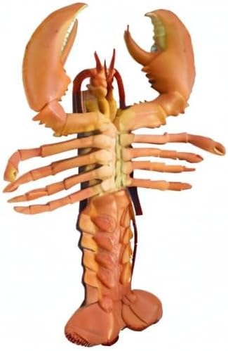 NOVELTY GIANT WWW.NOVELTYGIANT.COM 9.5" Realistic Looking Maine Lobster Plastic Food Party Decor Gag Gift