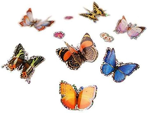 Insect Lore Butterfly Garden Gift Set, 8" Habitat with Live Cup of Caterpillars, Life Science & STEM Education Kit