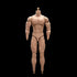 1:6 Scale Male Action Figure, 12 Inch Flexible Muscle Body Doll, Miniature Figure Without Head Sculpt