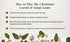 Anton Publications Christmas Carols & Song Game - Includes the Best and and Most Popular Carols and Songs in one Great