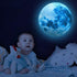 DESERT CAMEL Glow in The Dark Stars for Ceiling,Glow in The Dark Stars and Moon Wall Decals,Ceiling Stars Glow in The