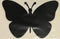 Retractable Screen Door Decals (Stickers) - 5 per Package - Butterfly (Black) - Keep Children Safe, Warn Dogs, Kids