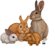 Bunny Rabbit Woodland Forest Animals Kids Wall Decals - Baby Nursery Toddler Room Wall Decor, DIY Decoration