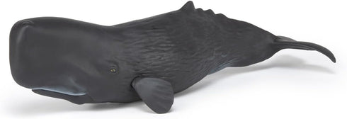 3+ 10.2 3.2 2.9 Papo - Realistic Sperm Whale Figure - Ages - Marine Life Collection - Educational Play Marine Cetaceans