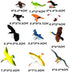 Animal Assorted Mini Plastic Figures Toy Set, Educational Party Cake Topper, Goody Bag Filler (12pcs Bird)