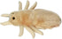 Giant Microbes Louse Plush – Learn About Lice and How to Treat Them, Fun Educational Gift for Family, Friends Doctors, Nurses, Scientists, Insect Lovers and All with a Healthy Sense of Humor