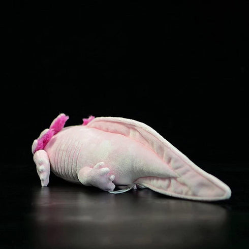Tiny Heart Axolotl Plush, Stuffed Animal, Lifelike Cute Ambystoma Toy, Gifts for Kids, 18 Inches Long