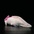 Tiny Heart Axolotl Plush, Stuffed Animal, Lifelike Cute Ambystoma Toy, Gifts for Kids, 18 Inches Long