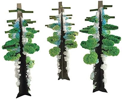 Crystal Growing Redwood Forest