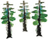 Crystal Growing Redwood Forest