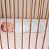 Comfy Cubs 3 Pack, 0-3 Easy Swaddle Blanket, Small for Months Infants and Muslin Baby Blanket Bundled