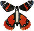 Insect Lore Butterfly Garden Gift Set, 8" Habitat with Live Cup of Caterpillars, Life Science & STEM Education Kit