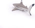 Papo Hand-Painted Figurine Marine Life Blacktip Reef Shark Figure 56034, Collectible for Children from 3 Years Old
