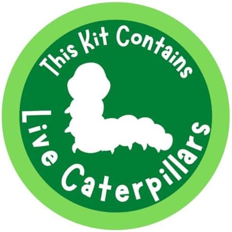 Insect Lore Two Cups of Caterpillars - Butterfly Garden Kit Refill Raise and Release Painted Lady Butterflies Includes