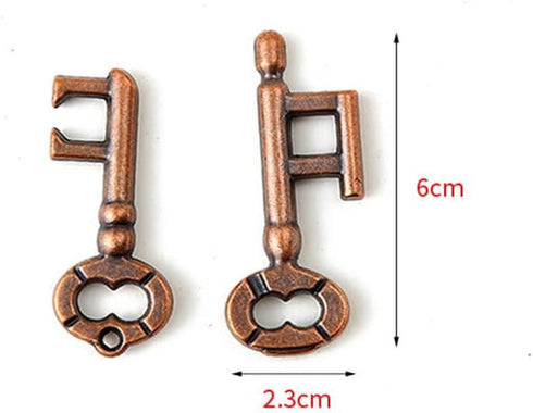 Sujosa 2 Sets Pair of Metal Brain Teaser Puzzle Keys, Assembly & Disentanglement Puzzles, IQ Logical Games, Fidget