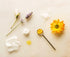 2 Oz) Shwally Tallow & Calendula Baby Bootie, Lip and Nipple Balms, The Ultimate Paleo Skin and Baby Bootie Protector